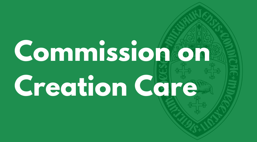 Update from the Commission on Creation Care: March 2022